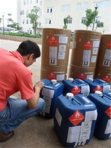 特种产品空运货代运输服务 专业厂家选择与航空商务服务价格解析